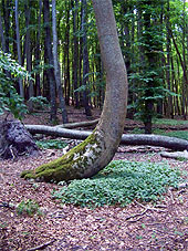 min 716 15.jpg min 716 15.jpg